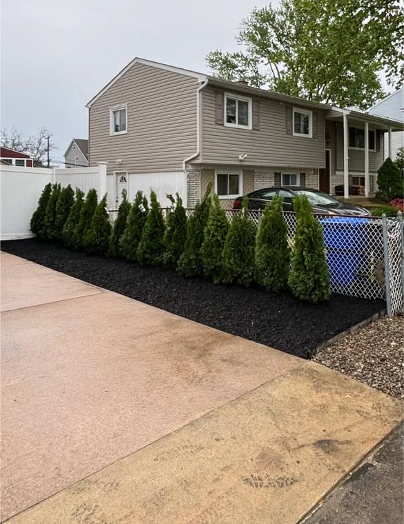 Arborvitae Planting & Fresh Mulch - North Bay Landscape & Design Ocean County NJ