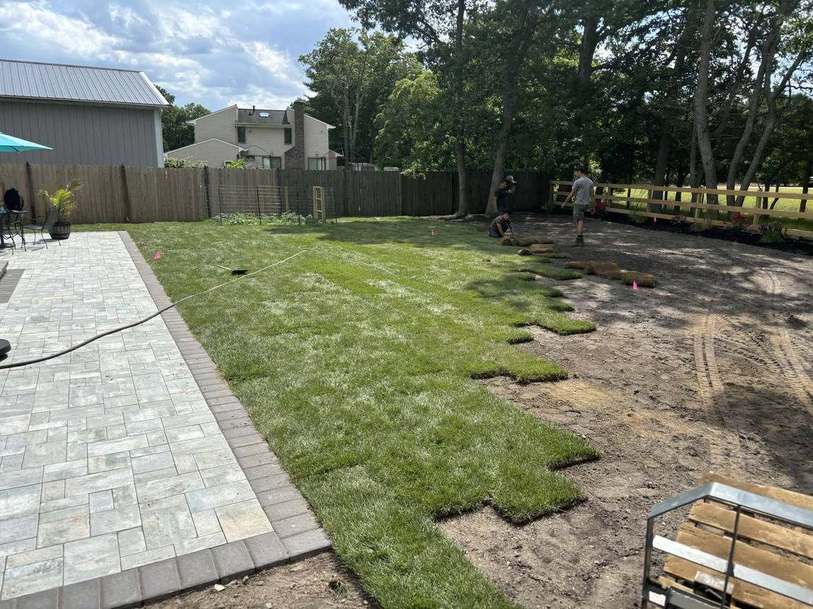 Sod Installation detail shot