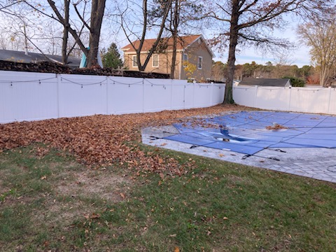Leaf-covered yard before a North Bay fall cleanup